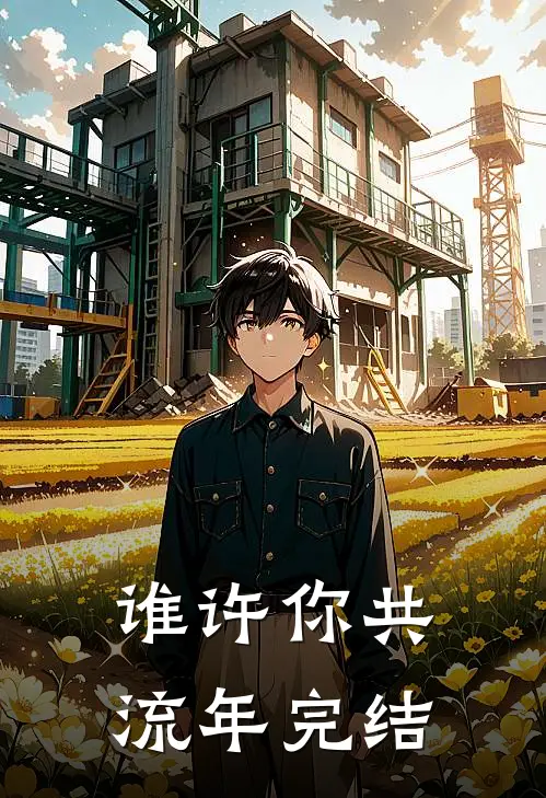谁许你共流年完结