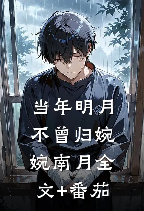 当年明月不曾归婉婉南月全文+番茄