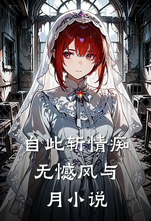 自此斩情痴，无憾风与月小说