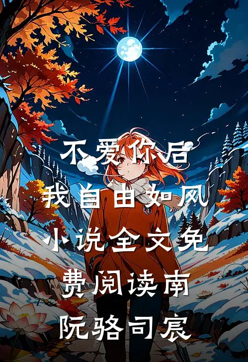 不爱你后，我自由如风小说全文免费阅读南阮骆司宸