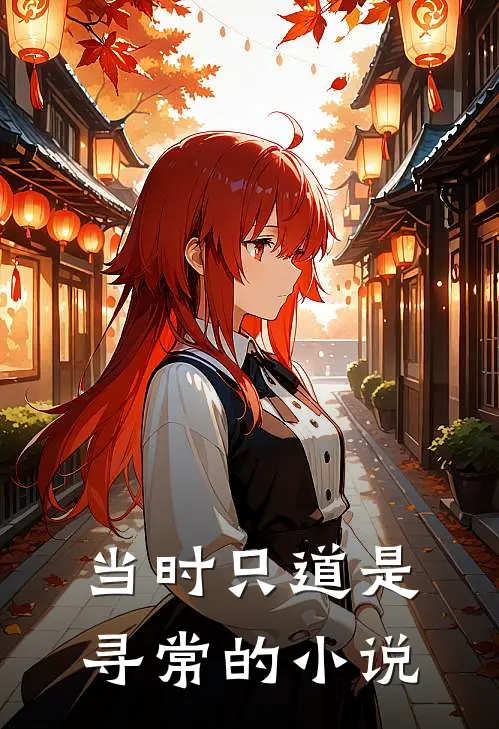 当时只道是寻常的小说