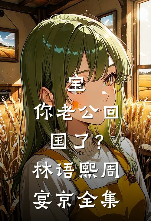 宝，你老公回国了？林语熙周宴京全集