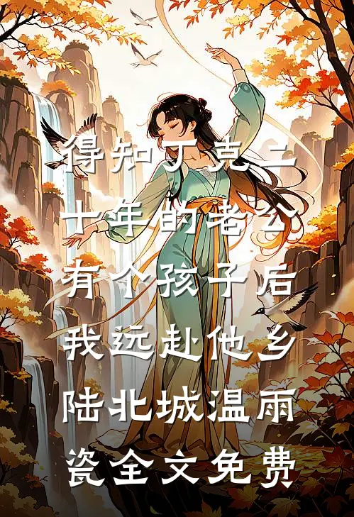 得知丁克二十年的老公有个孩子后，我远赴他乡陆北城温雨瓷全文免费