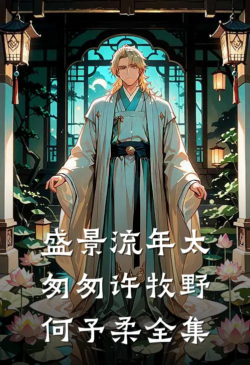 盛景流年太匆匆许牧野何予柔全集