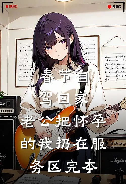 春节自驾回家，老公把怀孕的我扔在服务区完本
