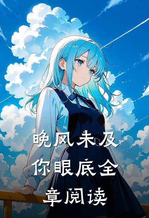 晚风未及你眼底全章阅读
