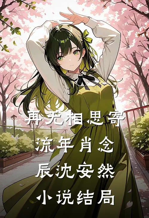 再无相思寄流年肖念辰沈安然小说结局