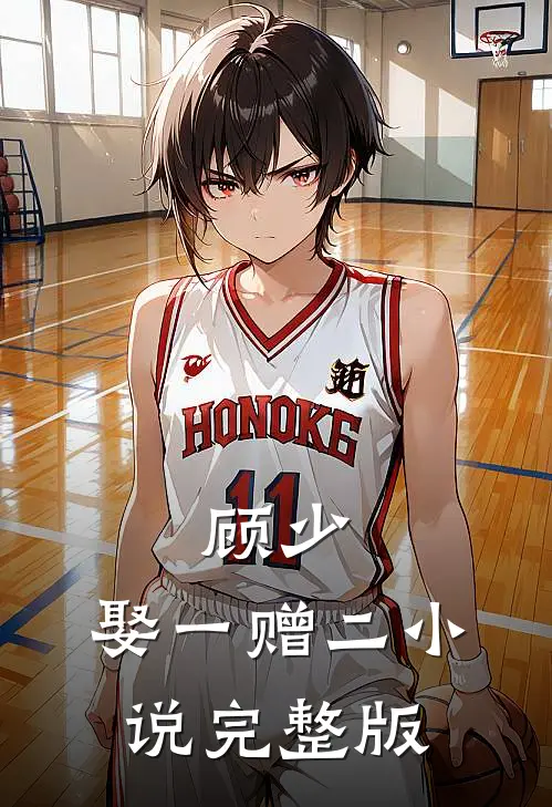 顾少,娶一赠二 小说完整版