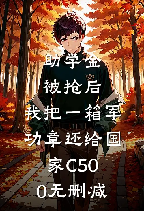 助学金被抢后，我把一箱军功章还给国家C500无删减