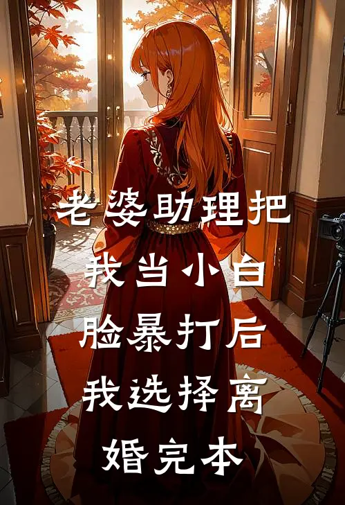 老婆助理把我当小白脸暴打后，我选择离婚完本