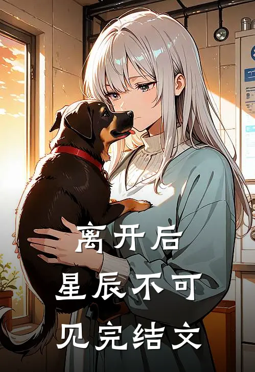 离开后，星辰不可见完结文
