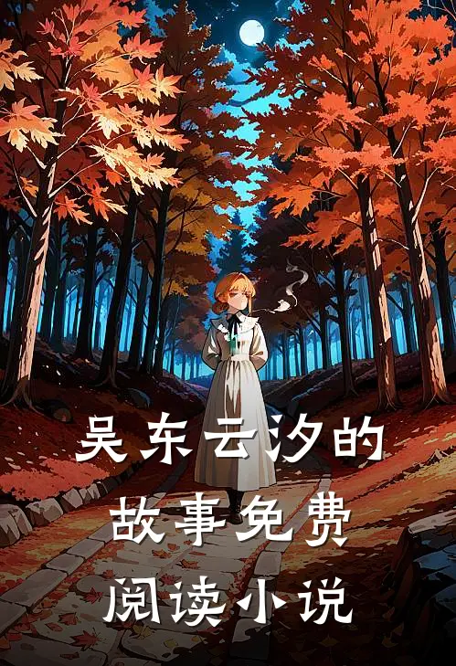 吴东云汐的故事免费阅读小说