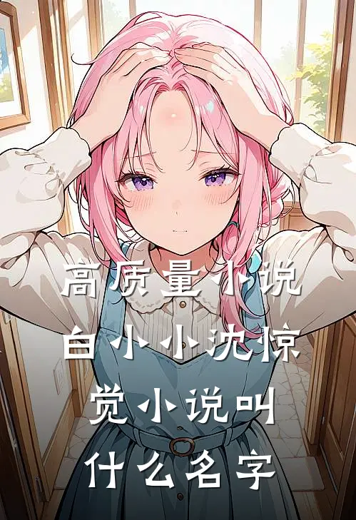 高质量小说白小小沈惊觉小说叫什么名字