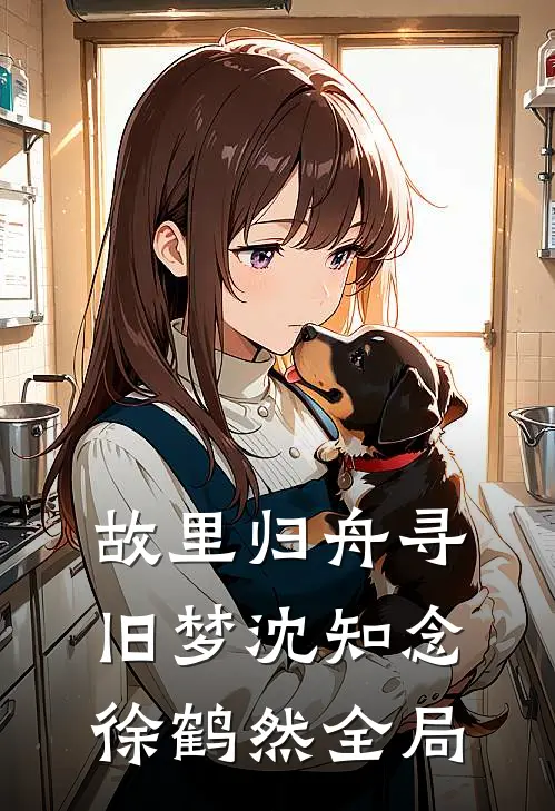 故里归舟寻旧梦沈知念徐鹤然全局