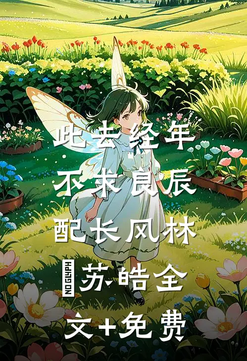 此去经年：不求良辰配长风林玥苏皓全文+免费