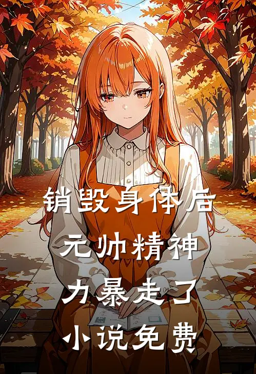 销毁身体后，元帅精神力暴走了小说免费