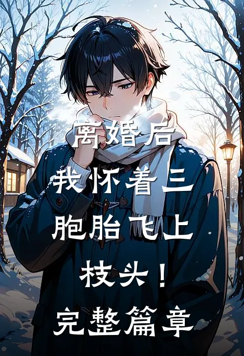 离婚后，我怀着三胞胎飞上枝头！完整篇章