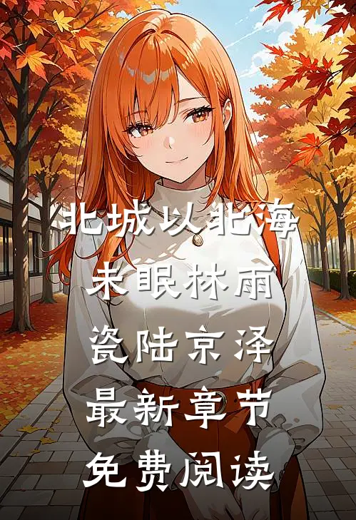 北城以北海未眠林雨瓷陆京泽最新章节免费阅读