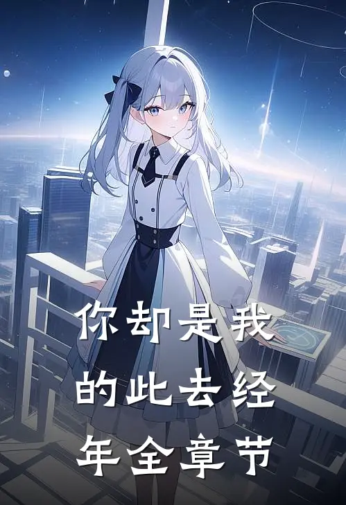 你却是我的此去经年全章节