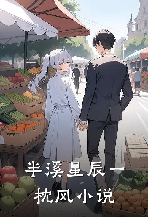 半溪星辰一枕风小说