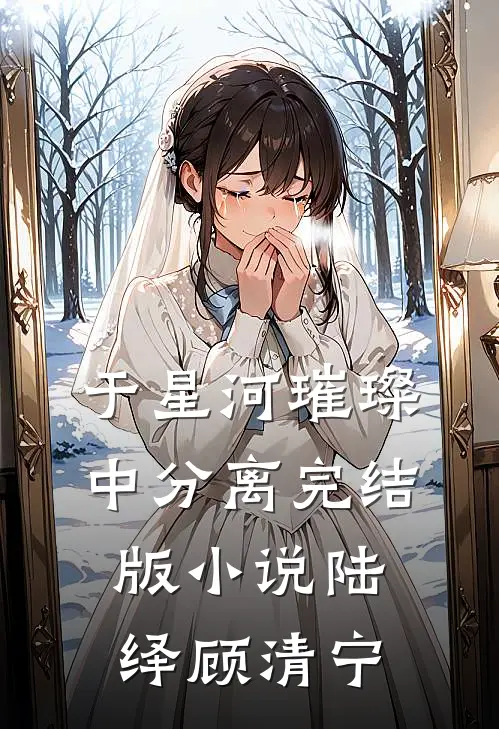 于星河璀璨中分离完结版小说陆绎顾清宁