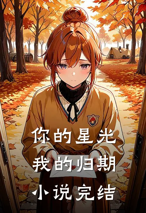 你的星光我的归期小说完结
