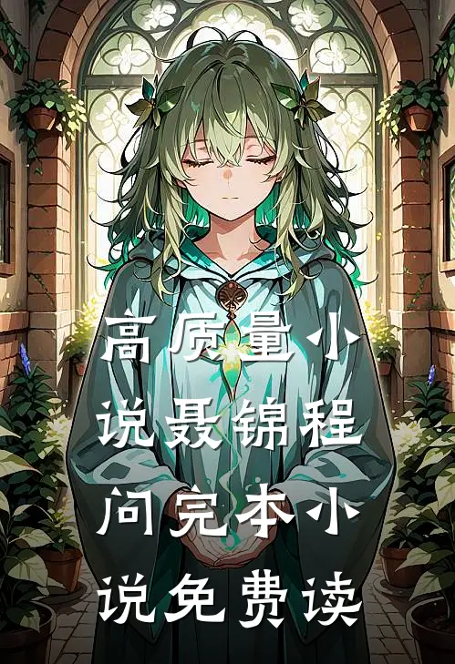 高质量小说聂锦程问完本小说免费读