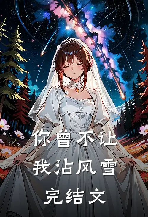 你曾不让我沾风雪完结文