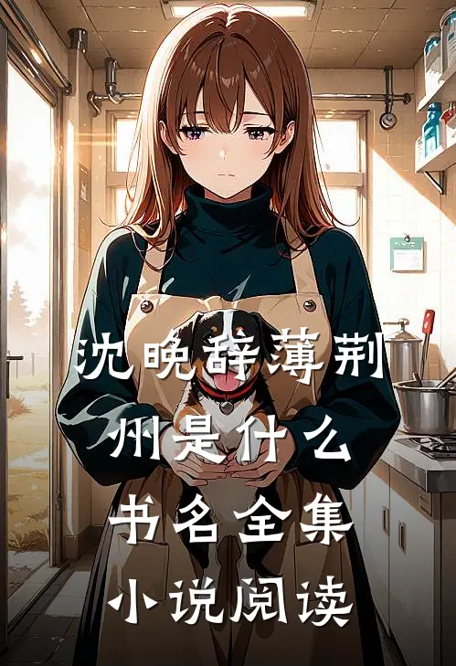 沈晚辞薄荆州是什么书名全集小说阅读