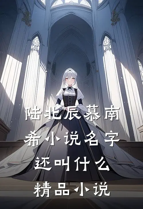 陆北辰慕南希小说名字还叫什么精品小说