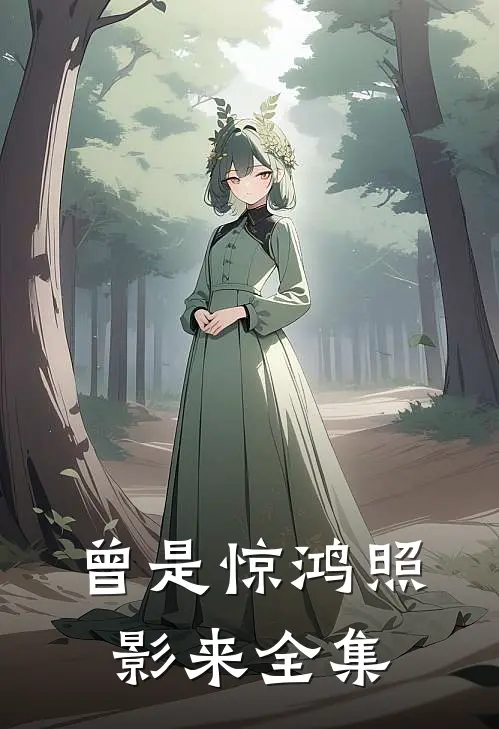 曾是惊鸿照影来全集