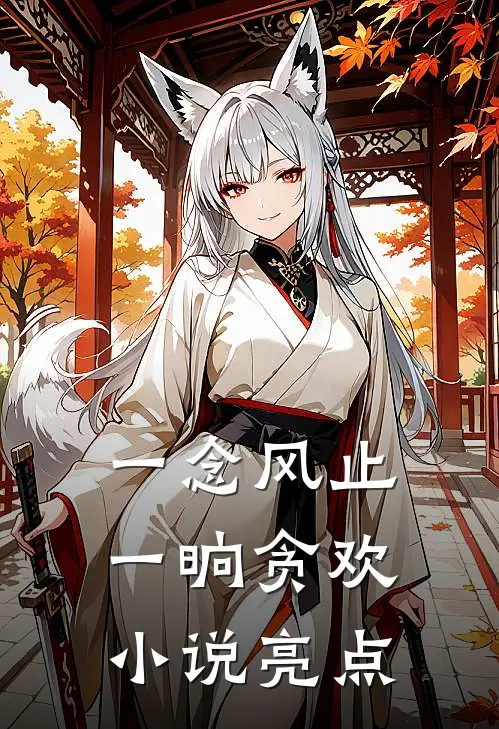 一念风止，一晌贪欢小说亮点