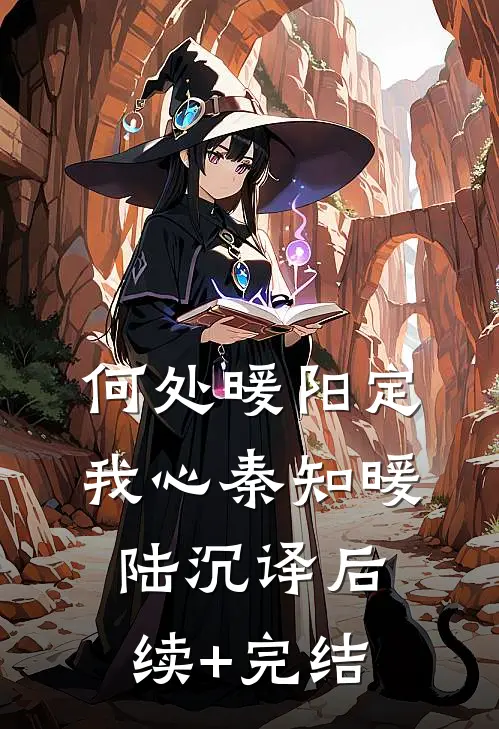 何处暖阳定我心秦知暖陆沉译后续+完结