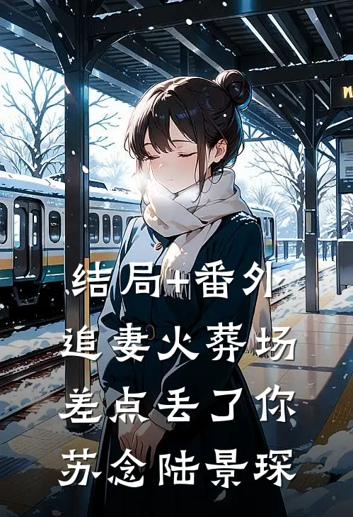 结局+番外追妻火葬场，差点丢了你苏念陆景琛