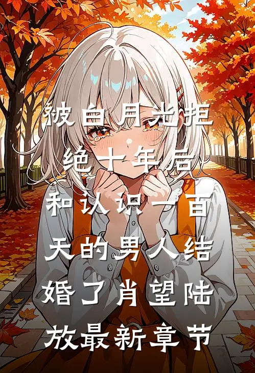 被白月光拒绝十年后，和认识一百天的男人结婚了肖望陆放最新章节