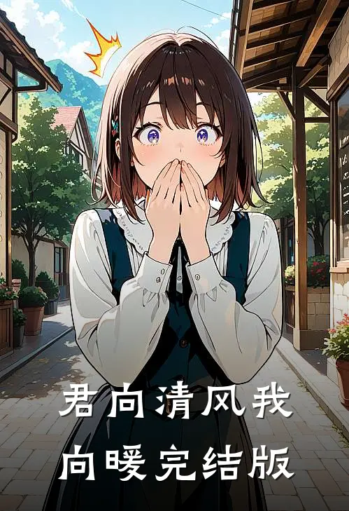 君向清风我向暖完结版