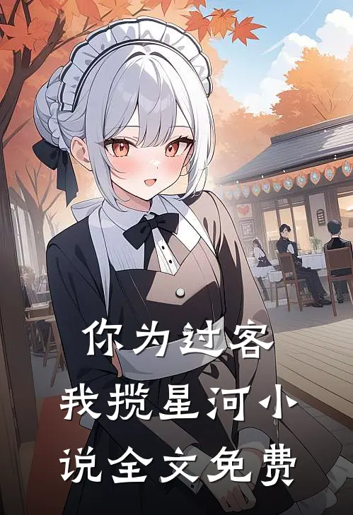 你为过客，我揽星河小说全文免费
