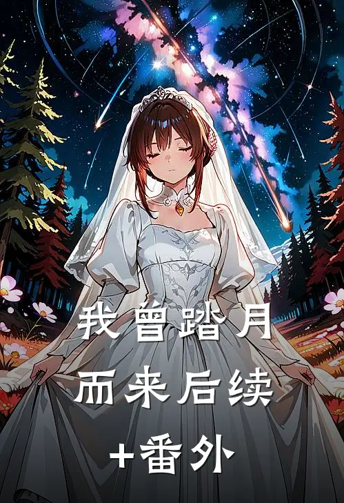 我曾踏月而来后续+番外