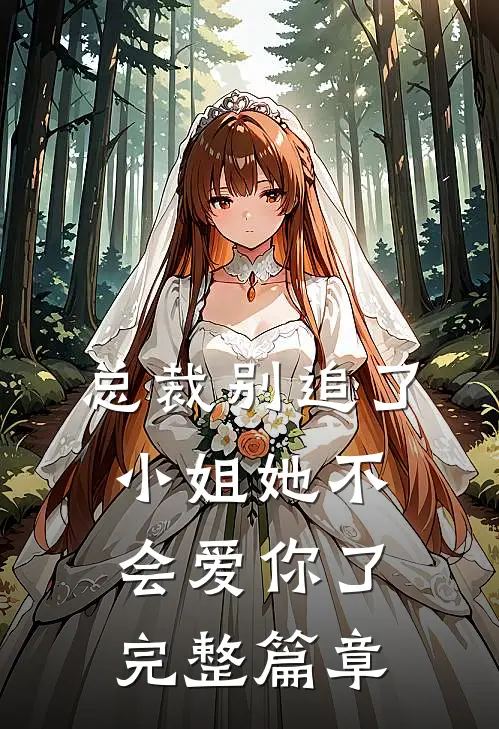 总裁别追了，小姐她不会爱你了完整篇章
