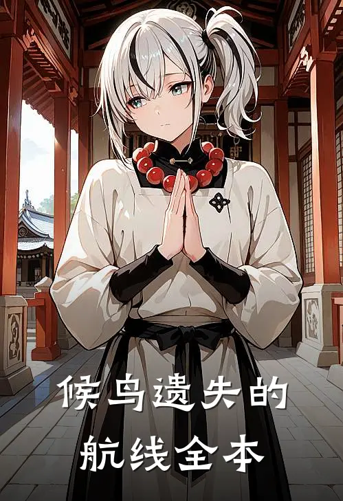 候鸟遗失的航线全本