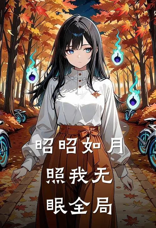 昭昭如月，照我无眠全局
