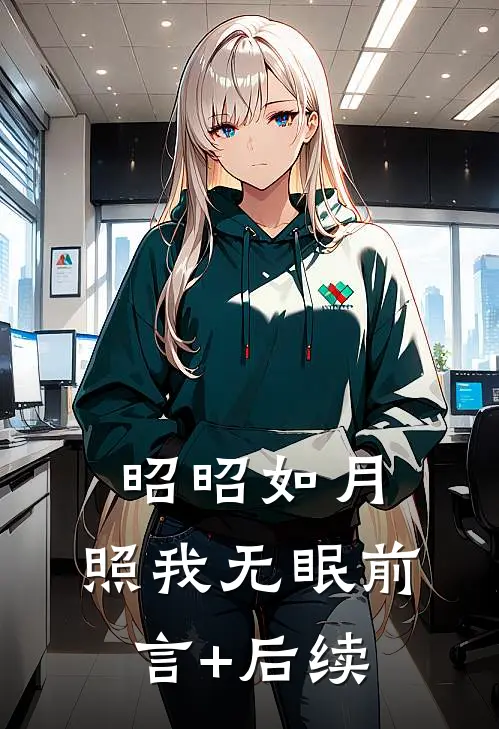 昭昭如月，照我无眠前言+后续