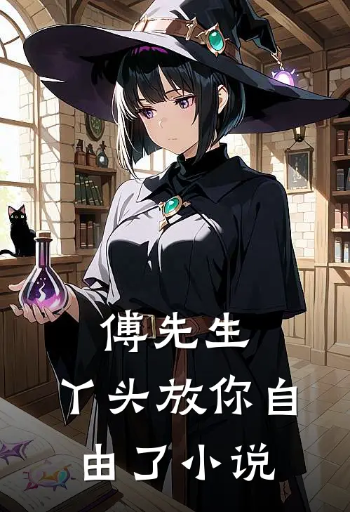 傅先生，丫头放你自由了小说
