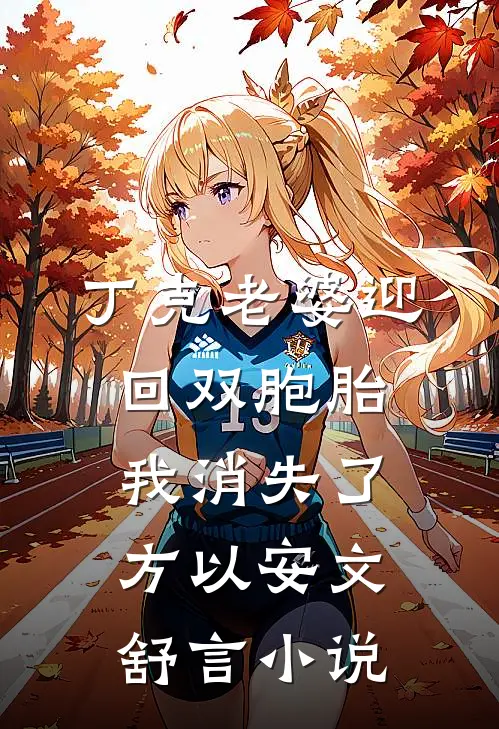丁克老婆迎回双胞胎，我消失了方以安文舒言小说