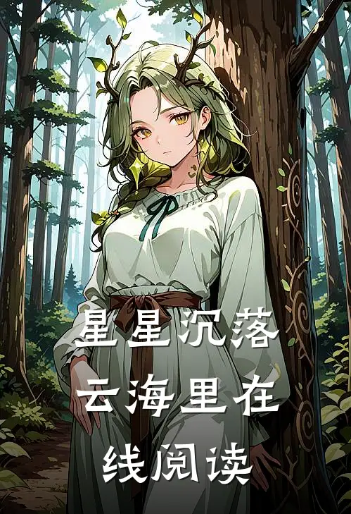 星星沉落云海里在线阅读