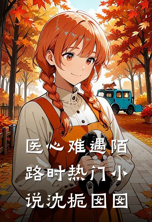 医心难遇陌路时热门小说沈栀囡囡