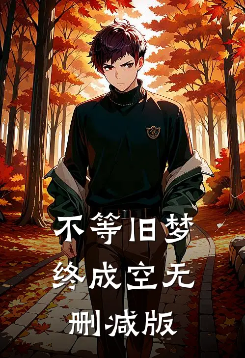 不等旧梦终成空无删减版