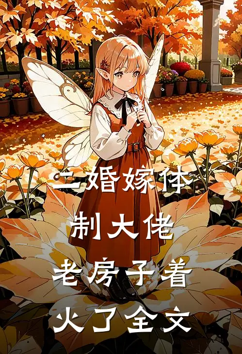 二婚嫁体制大佬，老房子着火了全文