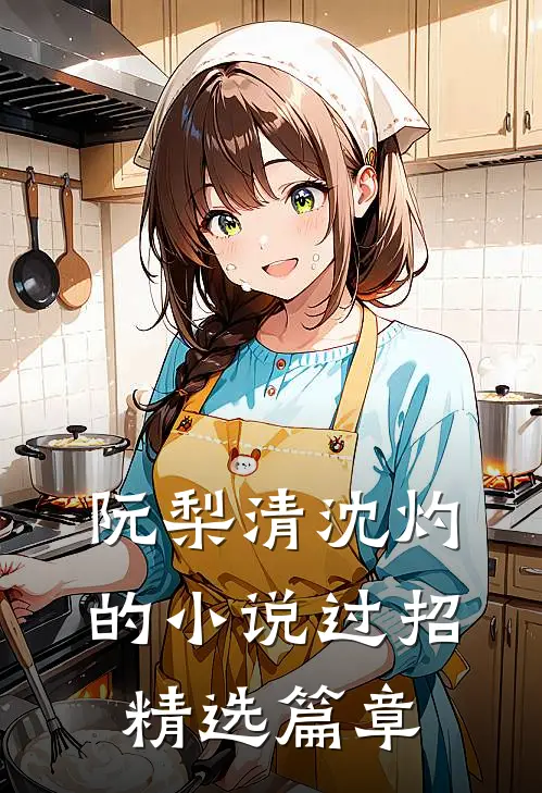 阮梨清沈灼的小说过招精选篇章