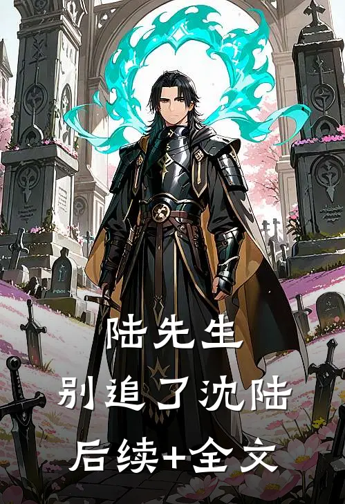 陆先生，别追了沈陆后续+全文